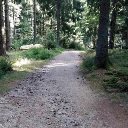 Bergerlebnis Pur 아파트