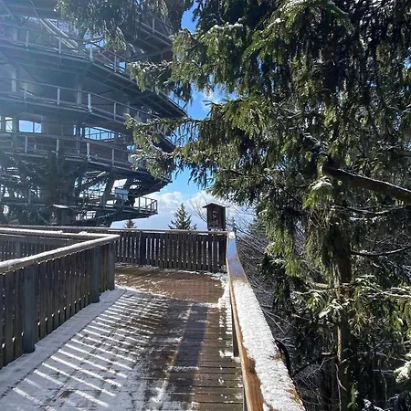 Bergerlebnis Pur Apartamento Sankt Englmar